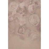 EASIFRAME® Cyclorama Fabric Curved Frame Custom Standard Skins