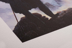 Breathing Color Pura Velvet 17 x 40 Roll (Special Order)