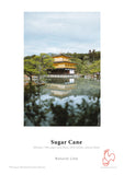 Hahnemuhle - Sugar Cane