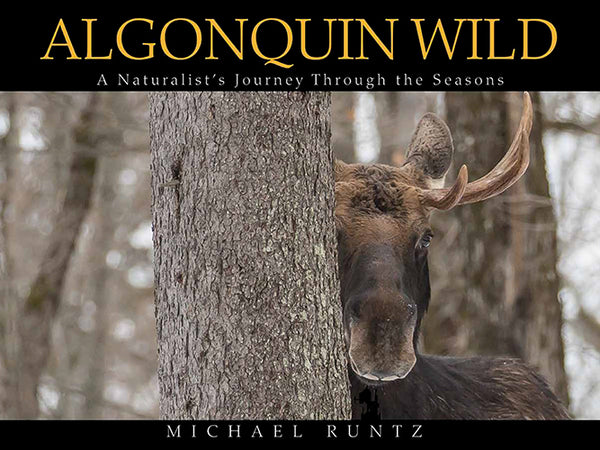 Algonquin Wild