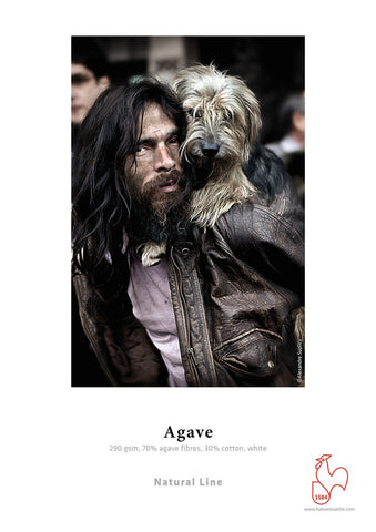 Hahnemuhle - Agave 290 gsm, 24"x39 Roll 3" core