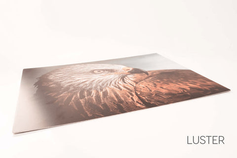 Quartz Film Laminate, Luster 4 mil - 17"x50'