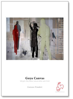 Hahnemuhle - Goya Satin Canvas 44"x39 Roll