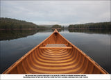 Algonquin Wild
