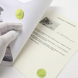 Hahnemuhle - Authenticity Certificate 25 Pack