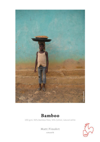 Hahnemuhle - Bamboo 290 gsm, 17" x 39, 1 Roll, 3" core