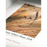 Hahnemuhle - Photo Paper Sample Pack (10 Sheets, 13 x 19")