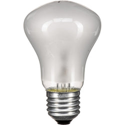 Elinchrom - Lamp 100W/90V E27
