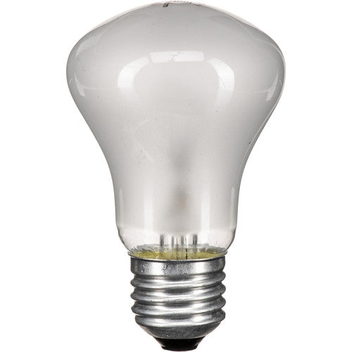 Elinchrom - Lamp 100W/90V E27