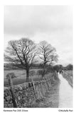 Kentmere Pan 200 135-36 exp