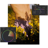 Capture One Pro (Perpetual License)
