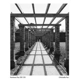Kentmere Pan 200 120 Roll Film
