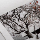 Awagami - Kozo Thick White 110gsm, 8.5 x 11 / 20 sheets