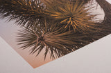 Breathing Color Signa Smooth 300, 17" x 10'