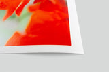 Breathing Color Vibrance Baryta Satin 60" x 40' Roll