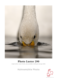 Hahnemuhle - Photo Luster 8.5"x11", 25 sheets