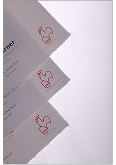 Hahnemuhle - William Turner 310 gsm, DeckleEdge 17"x22", 25 sheets (Special Order)